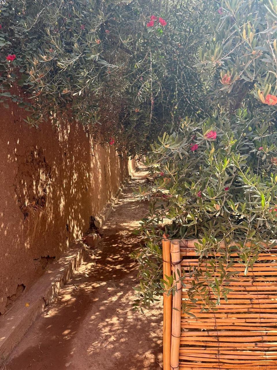 Villa Ms Holidays Mika Privatisee Marrakech Marrakesh Exterior photo